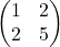 \begin{pmatrix} 1 & 2 \\ 2 & 5 \end{pmatrix}
